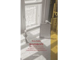 Rozdroże. Literatura polska w kręgu litewskiego odrodzenia narodowego