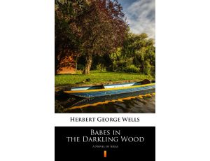 Babes in the Darkling Wood. A Novel of Ideas