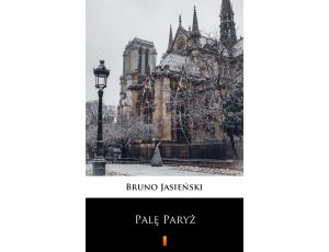 Palę Paryż