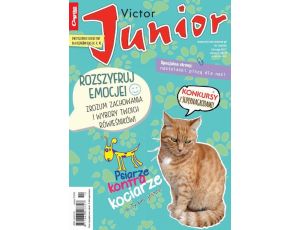 Victor Junior nr 10 (334)