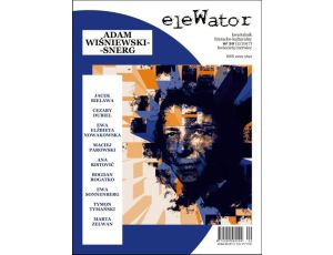 eleWator 20 (2/2017) - Adam Wiśniewski-Snerg