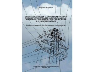 Ewaluacja zagrożeń elektromagnetycznych występujących podczas prac pod napięciem w elektroenergetyce modele numeryczne i ich komputerowa implementacja