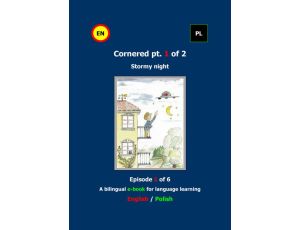 Cornered Osaczony Stormy night 1 A bilingual e-book Dwujęzyczna e-książka